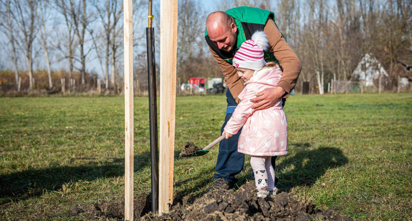 faültetés Békésen