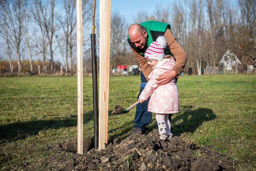 faültetés Békésen