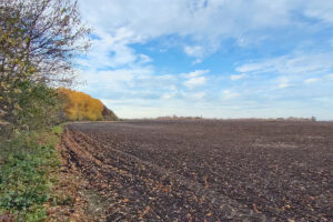 agrár, szántóföld