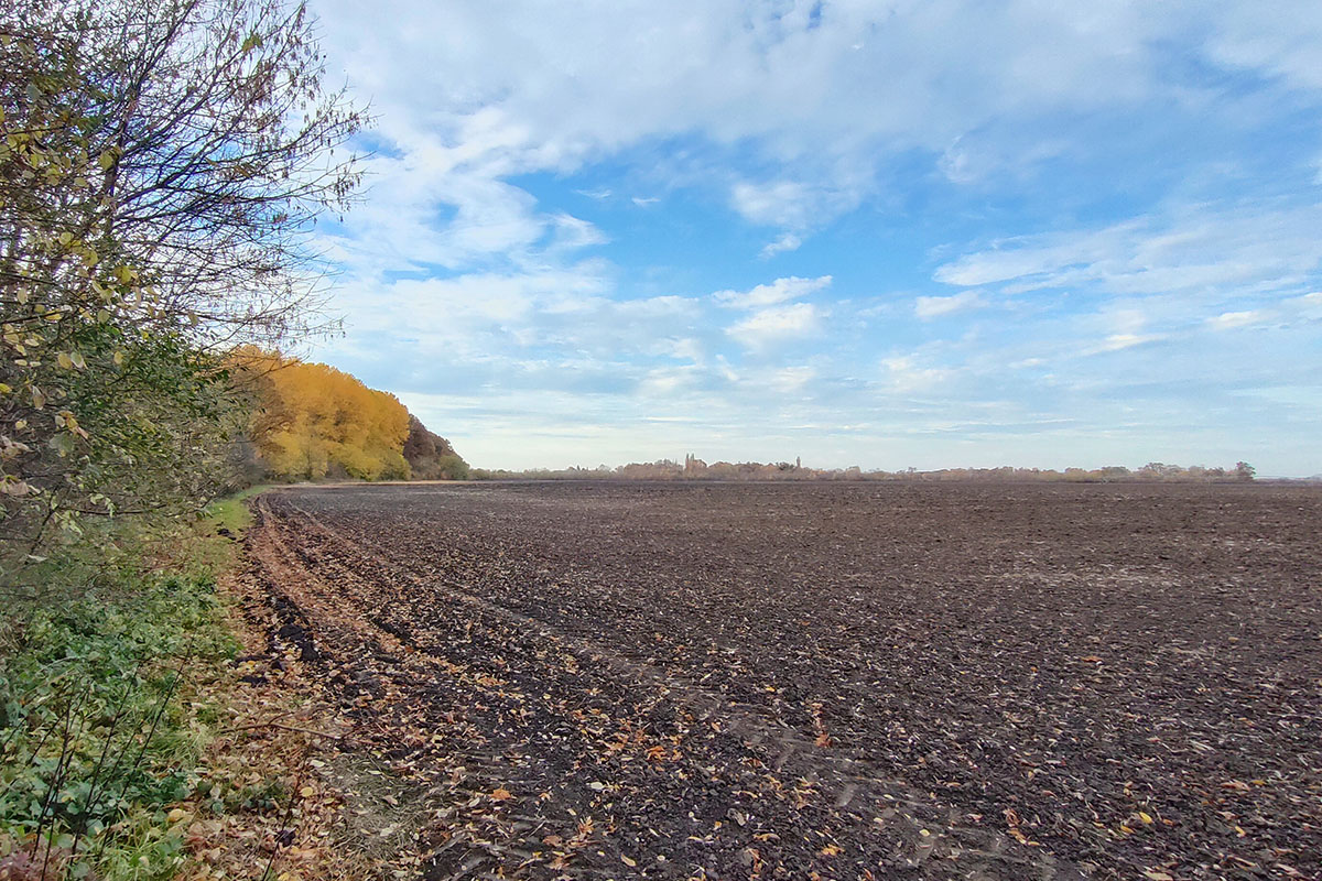 Kritikusan száraz az Alföld, de a hétvégén érkezhet a várva várt eső