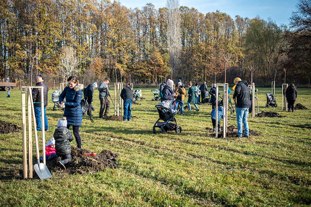 faültetés Békésen