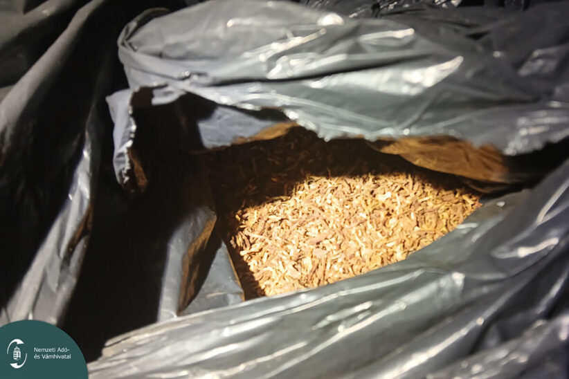 Illegális dohányt rejtett a fekete Audi