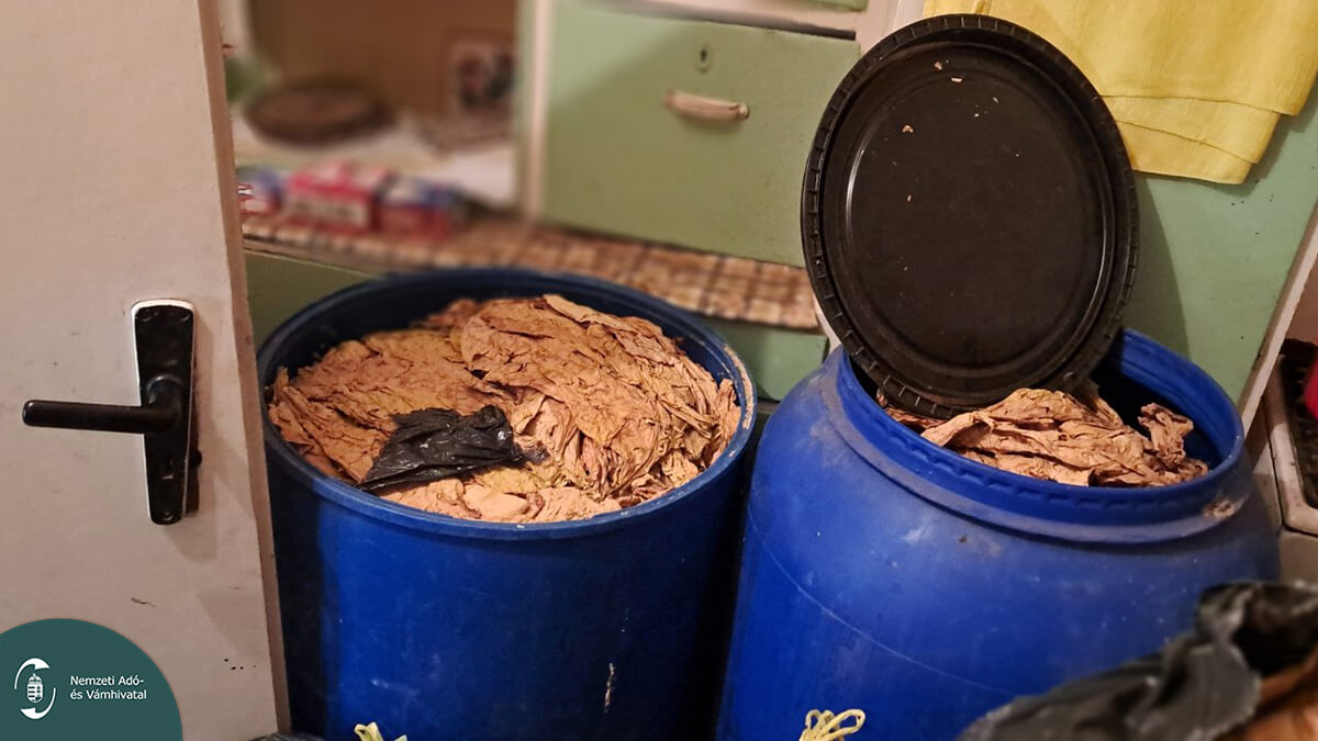 NAV: csaknem 700 kilogramm szárított dohánylevelet foglaltak le