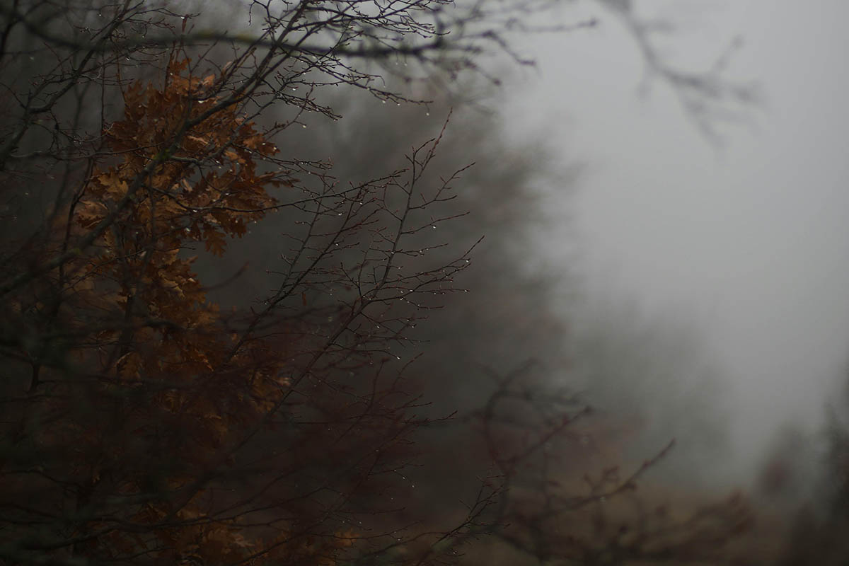 Hó helyett szürkeséggel indulhat a december