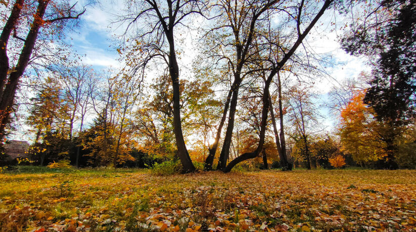 ősz, őszi, időjárás