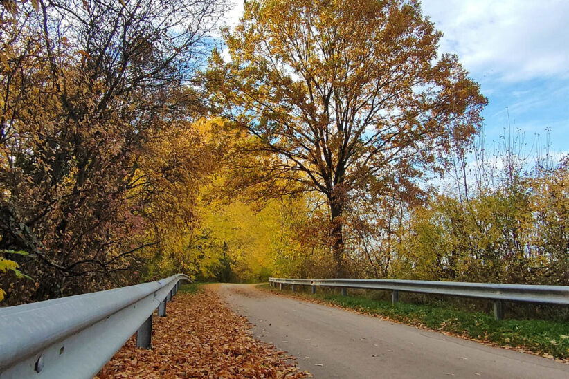 ősz, őszi, időjárás