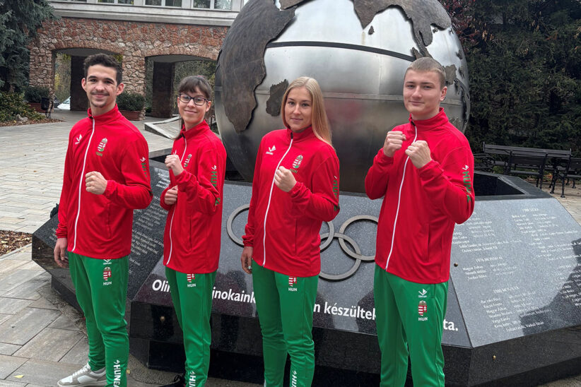 kick box világbajnokság