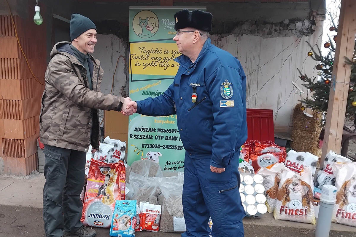 gazdátlan állatok segítése