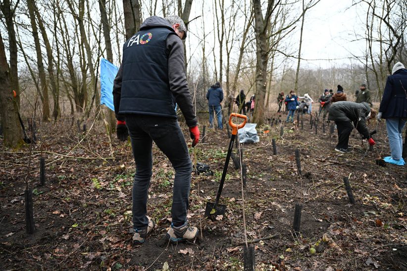 FAO hozzájárult Budapest zöldítéséhez