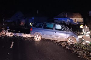 Villanyoszlopnak ütközött Kétegyházán