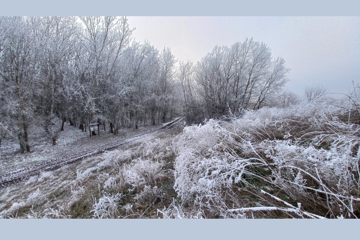 A Maros-ártér télen is izgalmas látnivalókat tartogat
