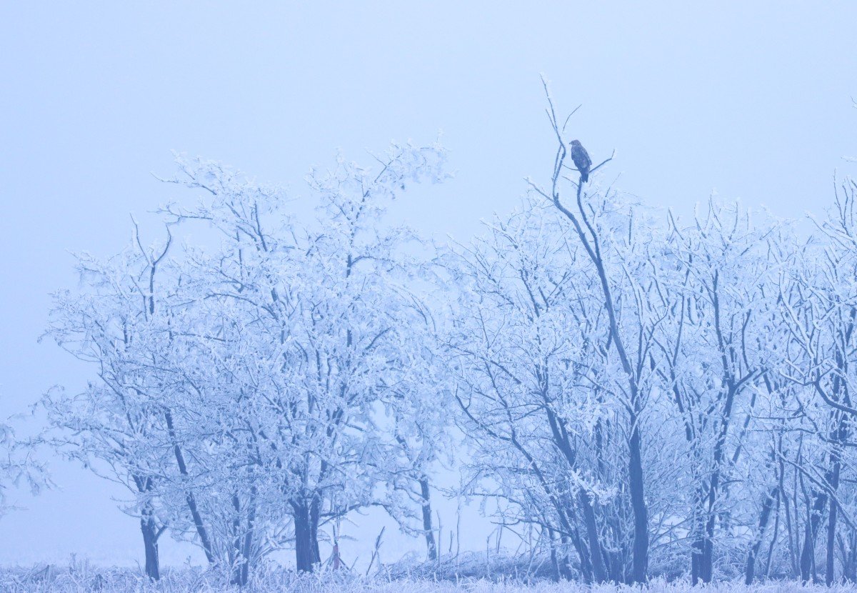Mesés téli tájkép