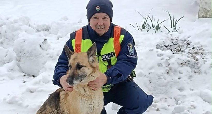 pipacs az eltűnt kutyus