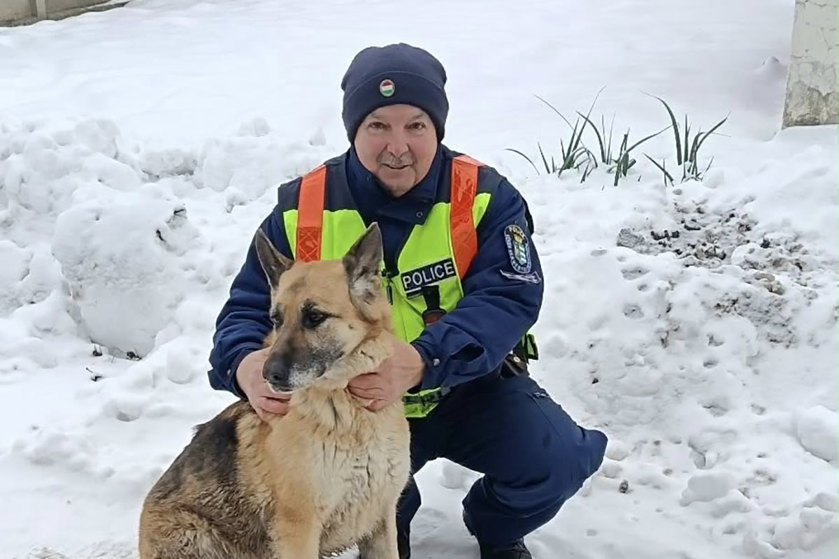 Rendőri segítséggel tért haza Pipacs, a dévaványai kutyus