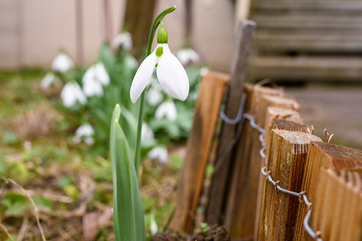 A januári erős fagyok ellenére is enyhébb volt az elmúlt tél a 30 éves átlaghoz képest