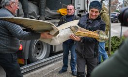 dinoszauruszok munkácsy