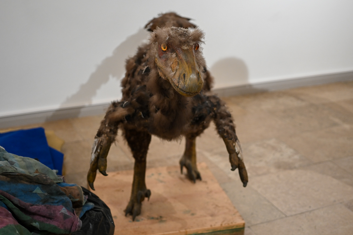 Munkácsy, dinoszauruszok