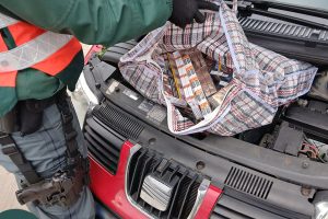 Kutyaszimat és „csúnya matek”: nagy fogás a határ közelében Kutyaszimat és „csúnya matek”: nagy fogás a határ közelében