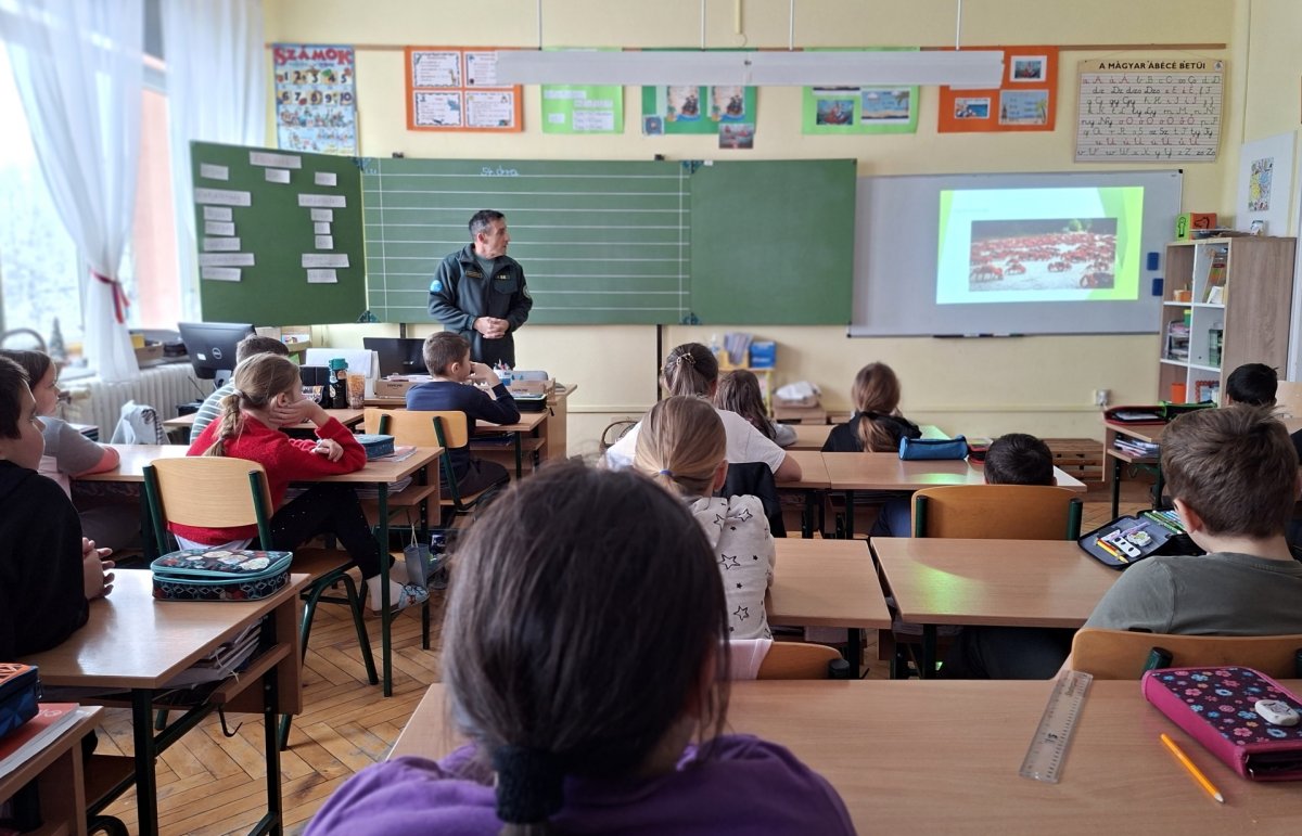 madárvonulás titkaival ismerkedtek a gyerekek