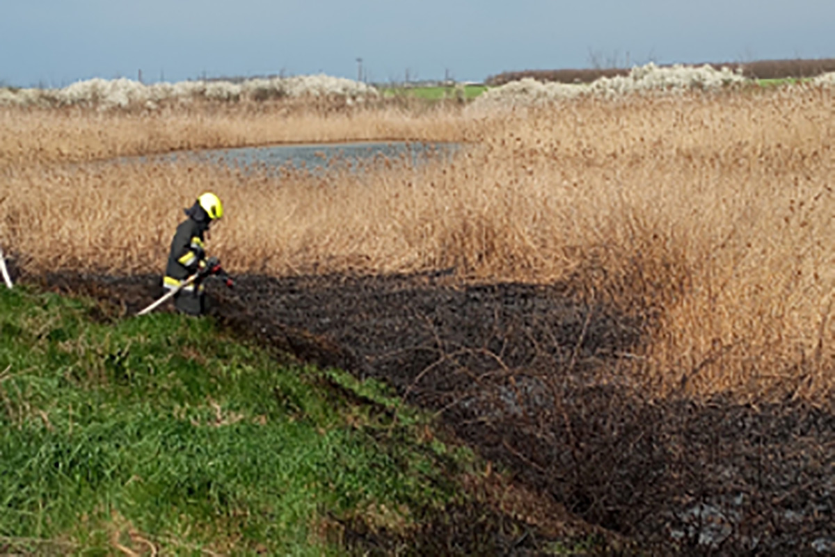 Lángoló nádas és fóliasátor: mozgalmas hétvégéjük volt a tűzoltóknak