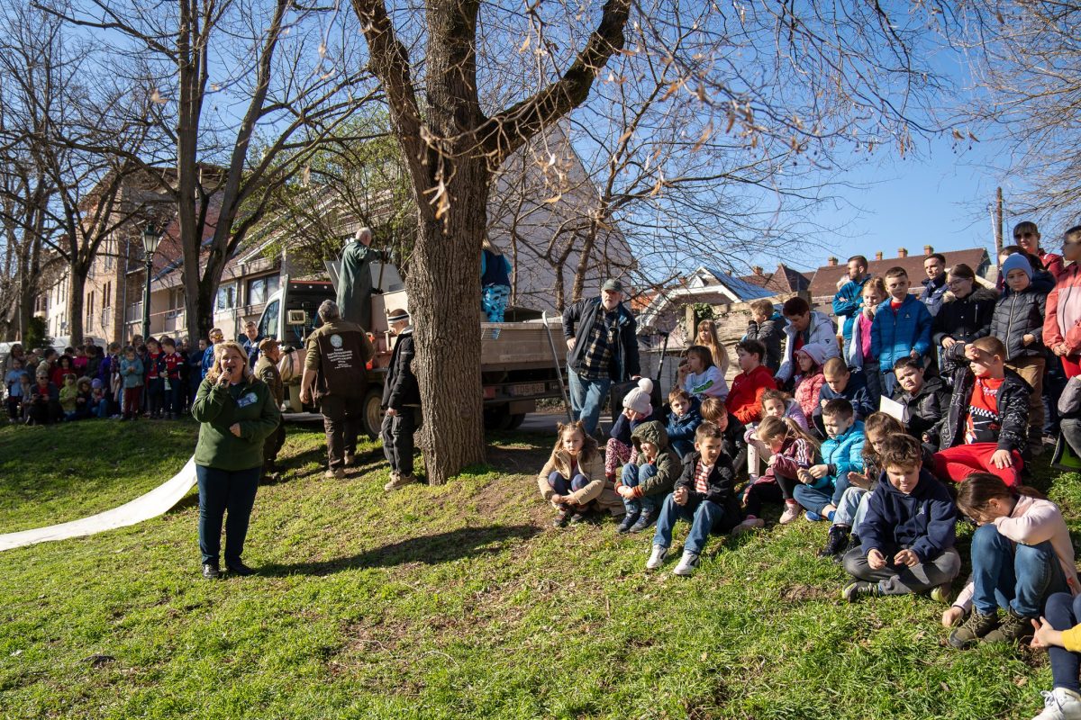 Víz Világnapja: Óriási bulival várja a kicsiket-nagyokat a KÖVIZIG