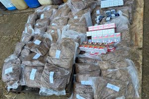 A disznóól mögött bújt meg a 40 milliós dohányraktár