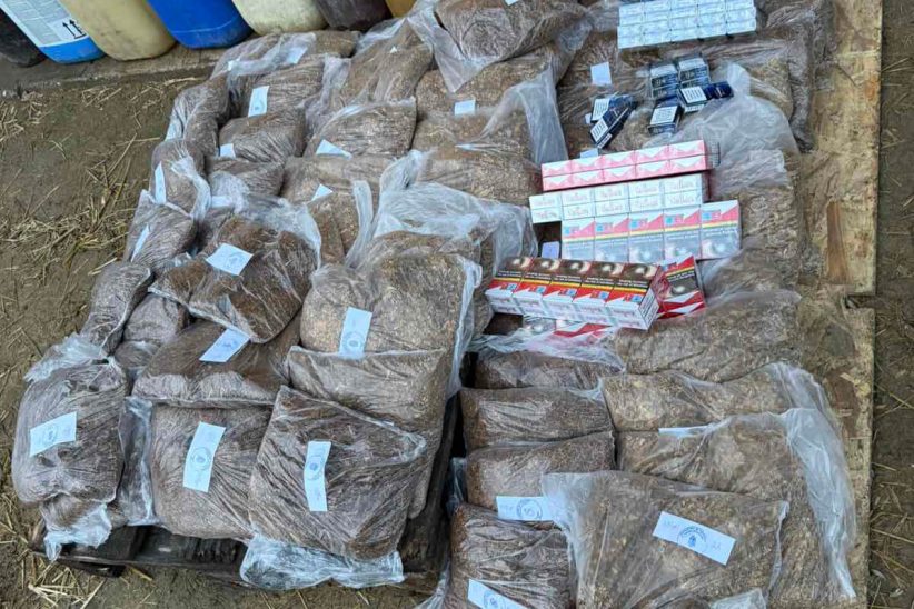 dohányraktár a disznóól mögött