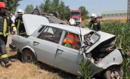 halálos baleset Orosháza