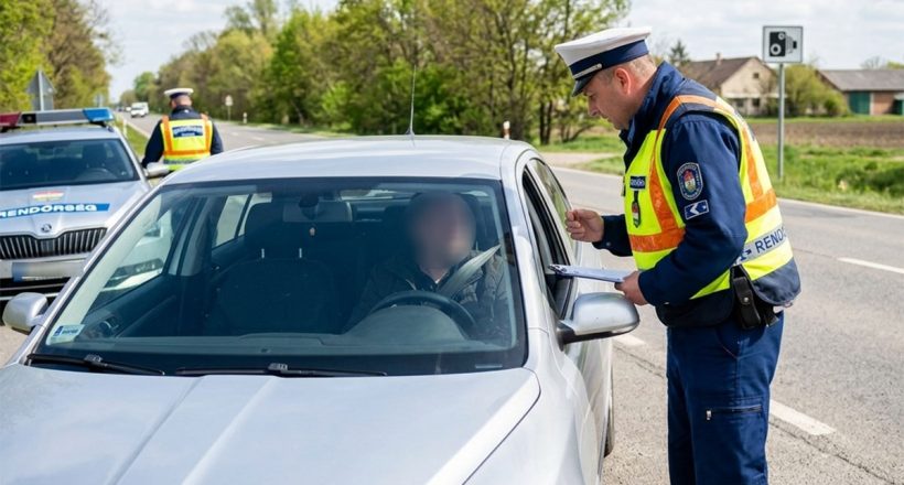 kék, rendőrség, ellenőrzés, biztonsági öv