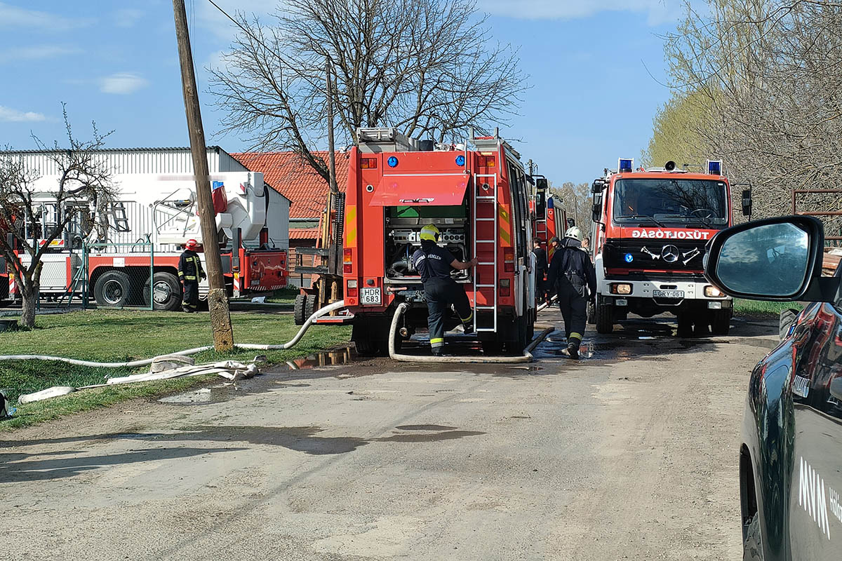 Kétségbeesett harc a lángokkal: Négy vízsugárral próbálják menteni a gyulai üzemet!
