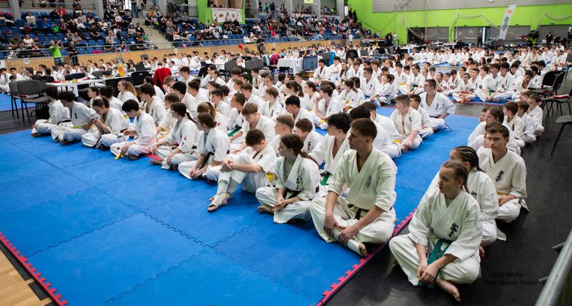 sarkadi karate siker