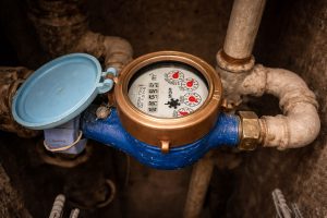 A vízóraaknák fogságába került békák megmentésére kéri a lakosságot az MME A vízóraaknák fogságába került békák megmentésére kéri a lakosságot az MME