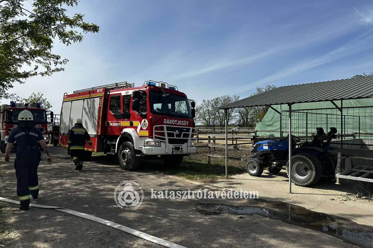Tűz pusztított egy állattartó telepen Békéscsabán