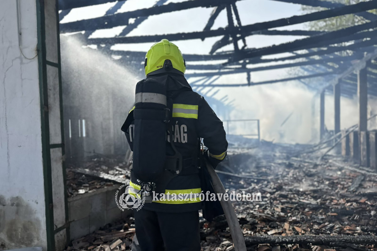 Tűz pusztított egy állattartó telepen Békéscsabán