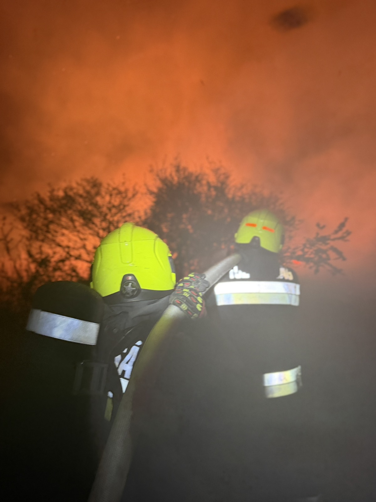 Nádas és száraz aljnövényzet égett