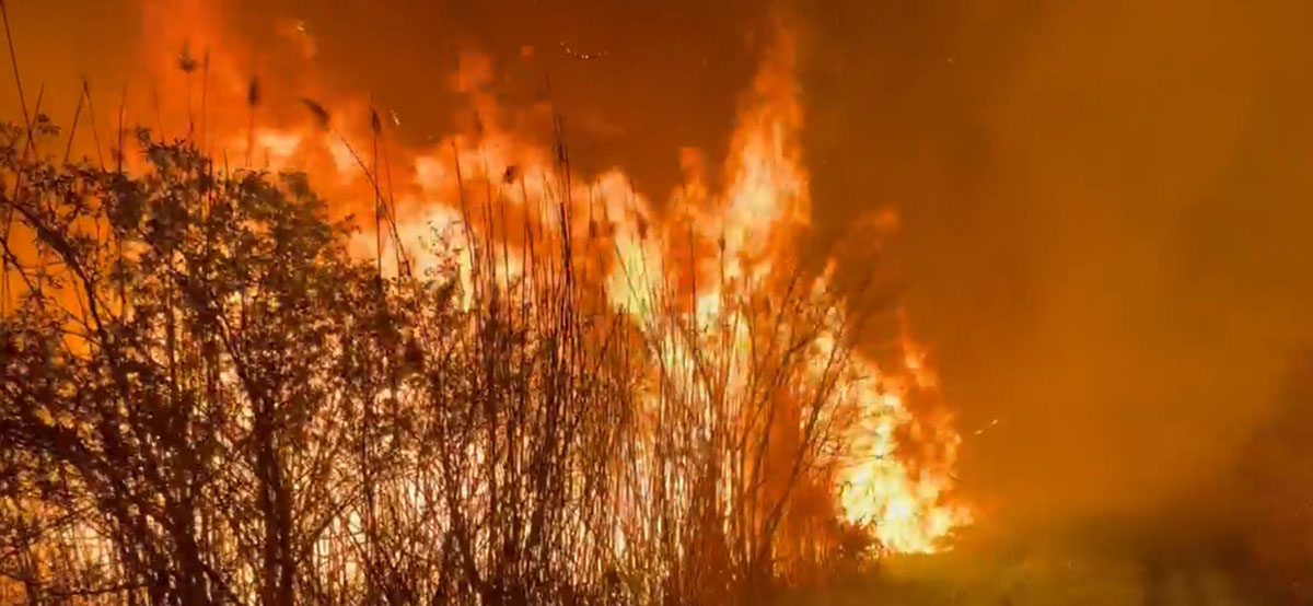 Nádas és száraz aljnövényzet égett