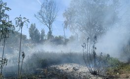 kigyulladt szeméttelep Békéscsabán