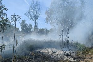kigyulladt szeméttelep Békéscsabán
