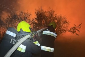 Nádas és száraz aljnövényzet égett