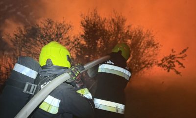 Nádas és száraz aljnövényzet égett