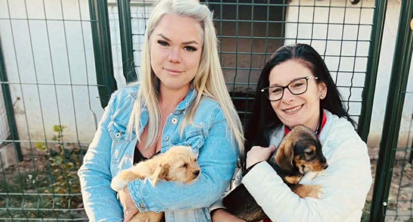 állatmenhely segítség Békéscsaba