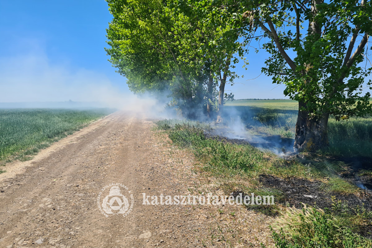 Magyarbánhegyesi tűz