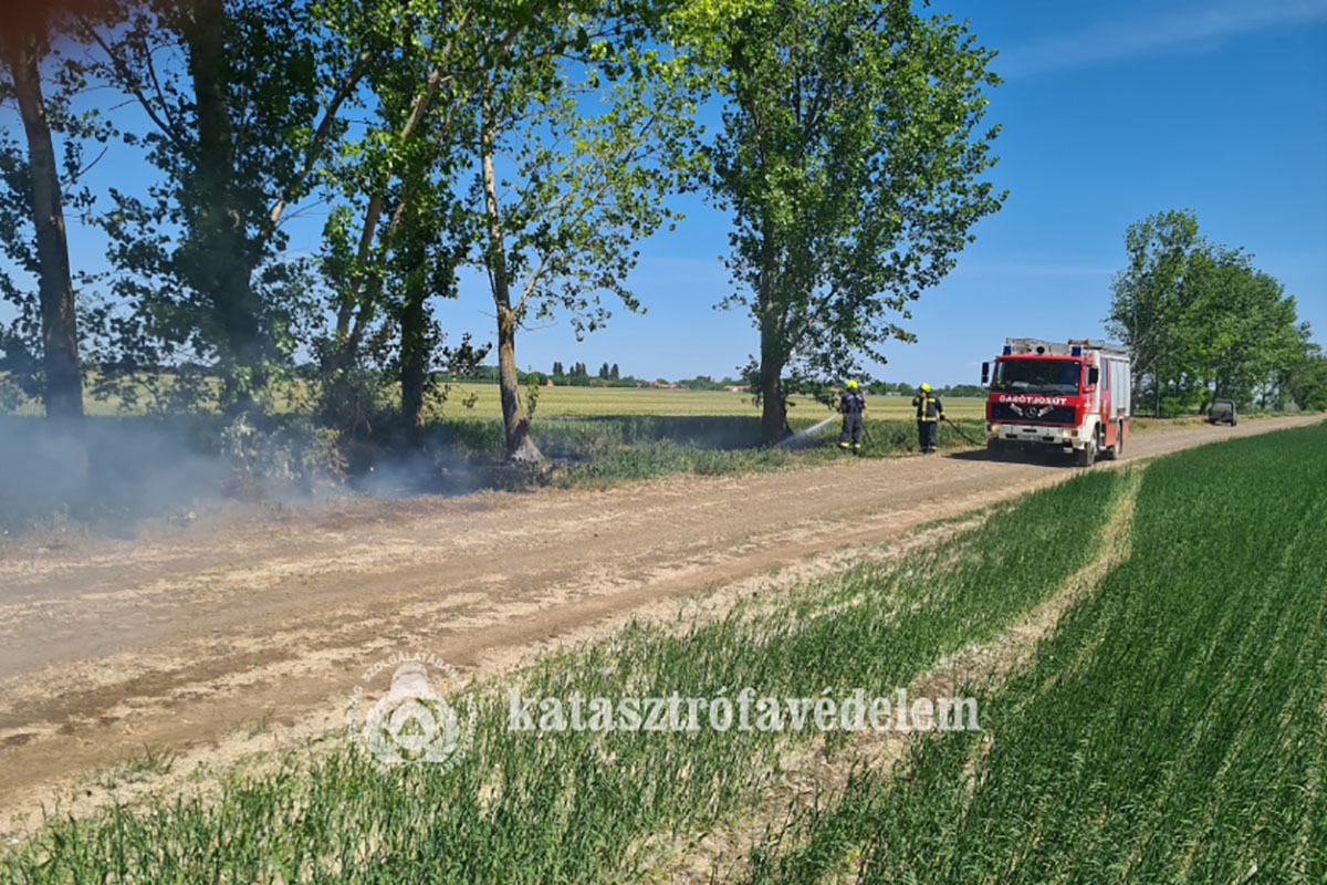 Nyárfaszösz kapott lángra Magyarbánhegyes külterületén