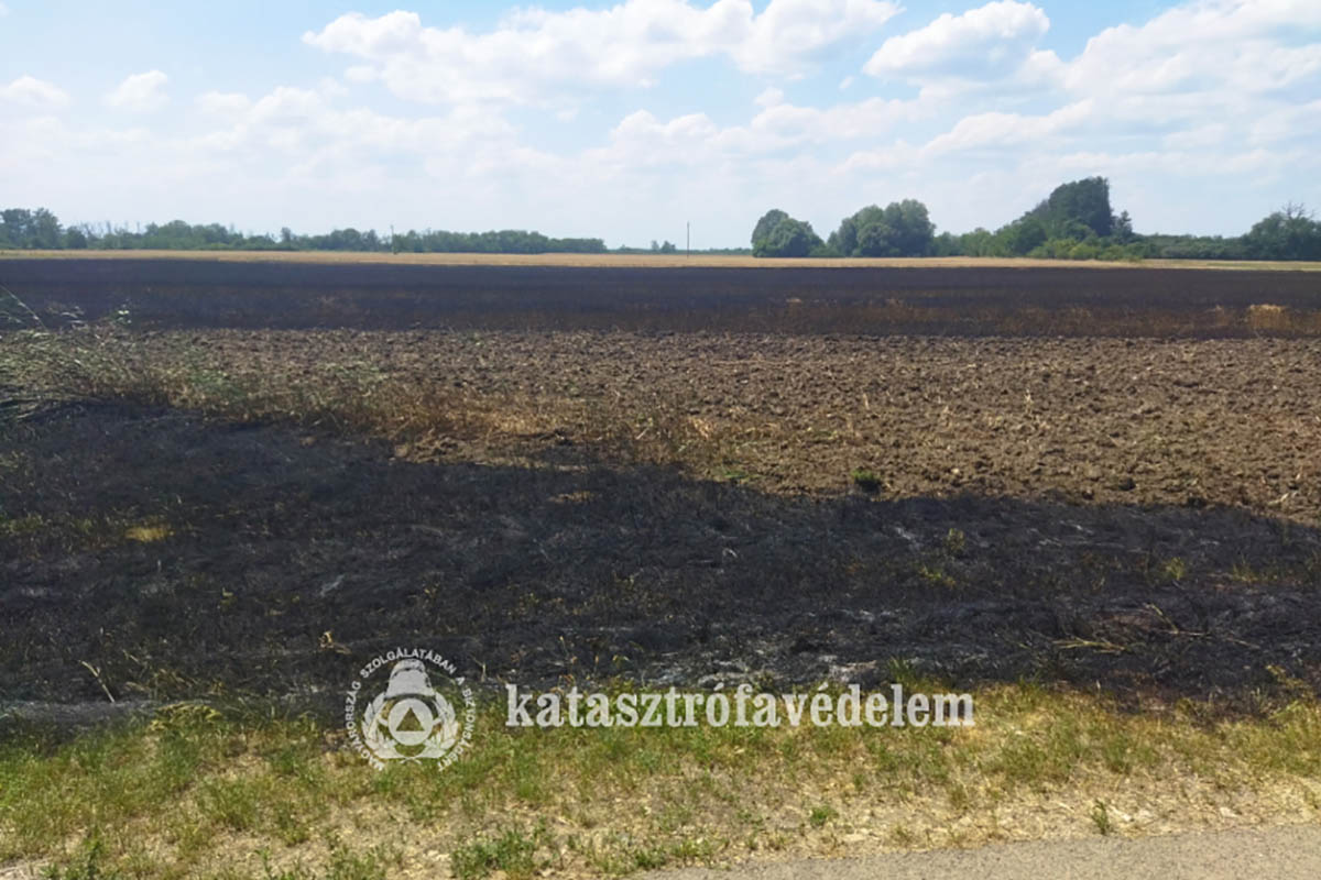 aljnövényzet égett Bélmegyeren