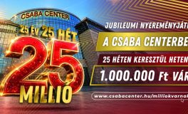 Csaba Center