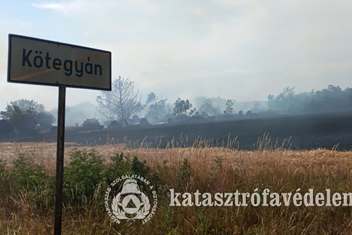 Bozóttűzből lett komoly veszély: házakat fenyegettek a lángok