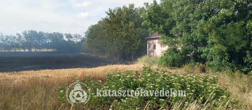 tűz Kötegyán