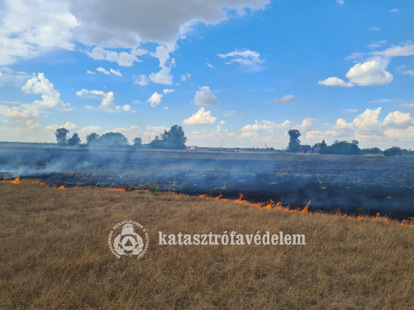 Három hektáron égett a száraz fű Gyula külterületén