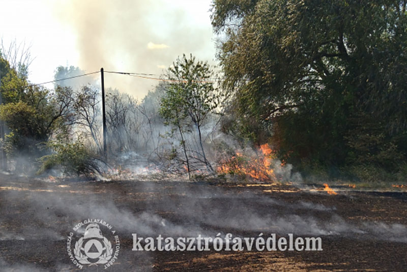 Drámai küzdelem a lángokkal: óriási tarlótűz pusztított Szarvasnál