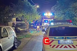 Fának csapódott egy személygépkocsi Füzesgyarmaton
